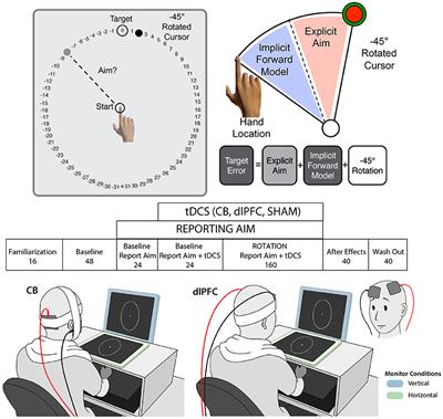 Variable Neural Contributions to Explicit and Implicit Learning During <mark class="highlighted">Visuomotor Adaptation</mark>